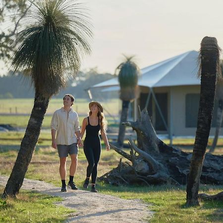 Willow Wood Glamping Retreat Broadwater Exterior photo