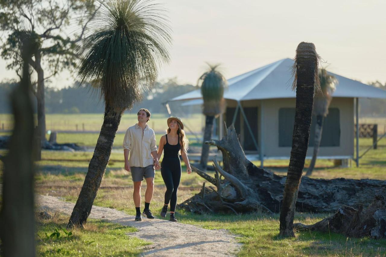 Willow Wood Glamping Retreat Broadwater Exterior photo